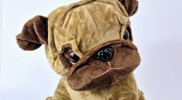 Pelucia M - Cachorro com Chocolate - Imagem 4