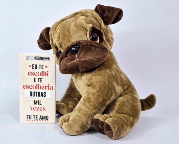 Pelucia M - Cachorro com Chocolate