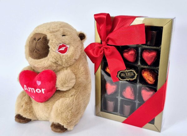 Pelucia MP - Capivara com chocolate - Imagem 5