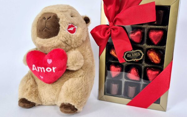 Pelucia MP - Capivara com chocolate - Imagem 3