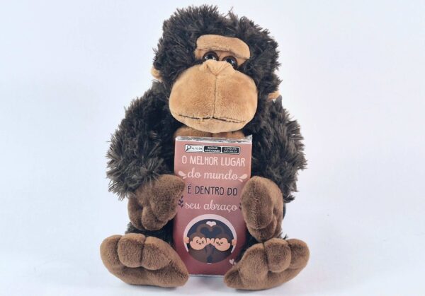 Pelúcia P - Macaquinho com chocolate - Imagem 7