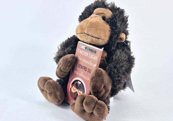 Pelúcia P - Macaquinho com chocolate - Imagem 5