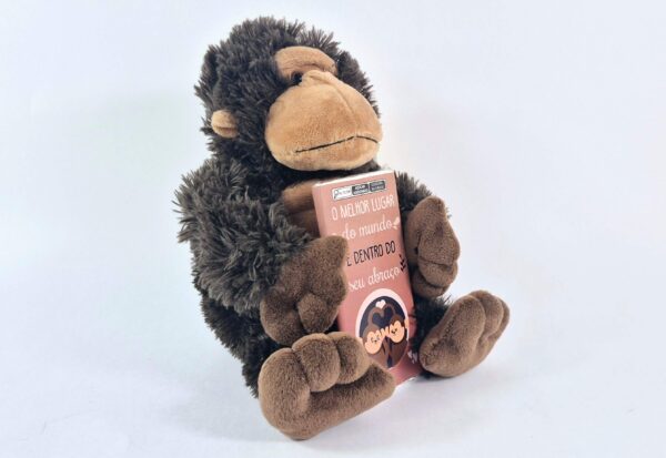 Pelúcia P - Macaquinho com chocolate - Imagem 2