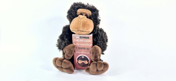 Pelúcia P - Macaquinho com chocolate - Imagem 3