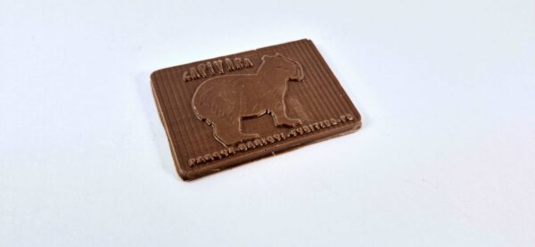 Barra Capivara ao Leite 24g
